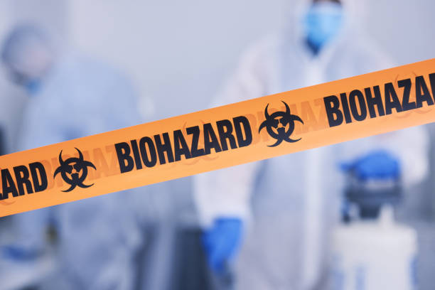 Professional Odor Removal technician working in Nephi, UT